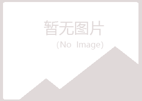 青岛李沧夏日金属有限公司